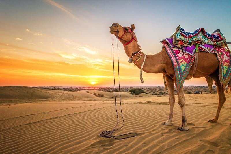 Rajasthan Heritage